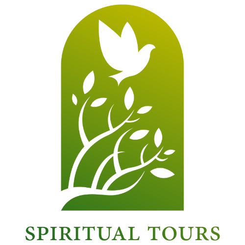 Revive Tours logo